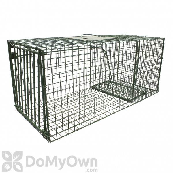Duke Dog Proof Raccoon Trap - 2 Pack with Set Tool