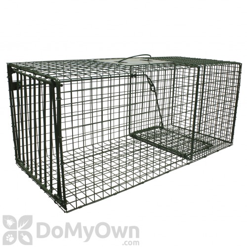 Large Live Animal Cage Trap for Raccoon, Dogs, Foxes,Outdoor Large Animal  Trap 42 X15 X17 in, Heavy-Duty Animal Trap, Foldable, Humane Catch & Release,  Easy Ins…