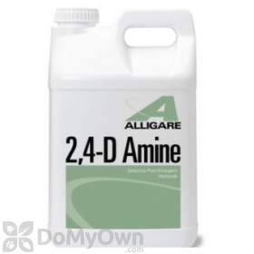 Alligare 2,4-D Amine Herbicide