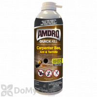 Amdro Quick Kill Carpenter Bee, Ant and Termite Killer Foam