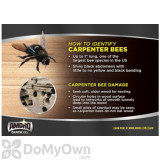 Alternate Image 2 Thumbnail