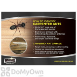 Alternate Image 3 Thumbnail