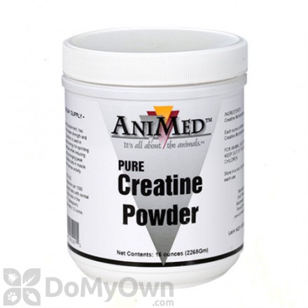 AniMed Creatine Powder Supplement for Horses