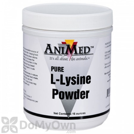AniMed Pure L - Lysine Powder