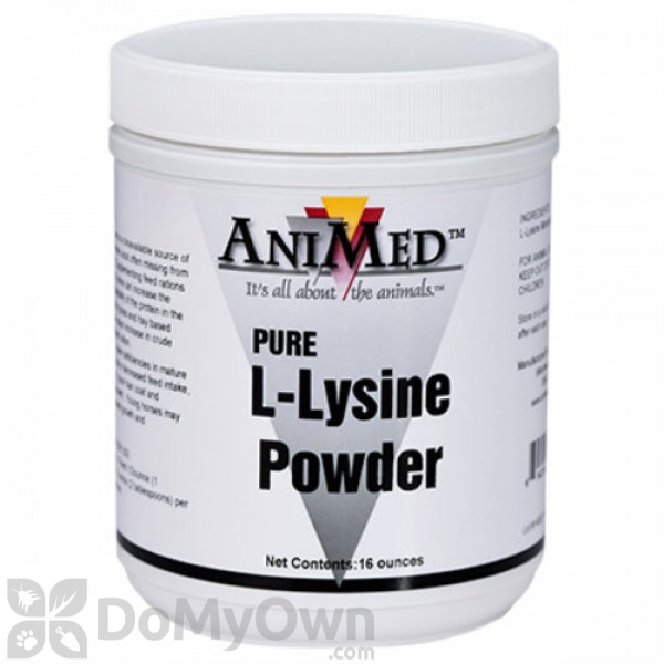 trompet Eigenwijs Voorbereiding AniMed Pure L-Lysine Powder