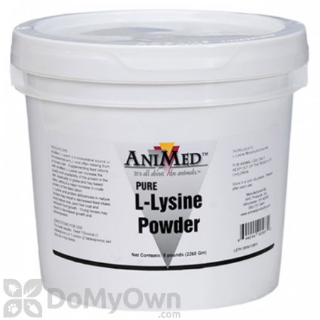 AniMed Pure L-Lysine Powder 5 lb.