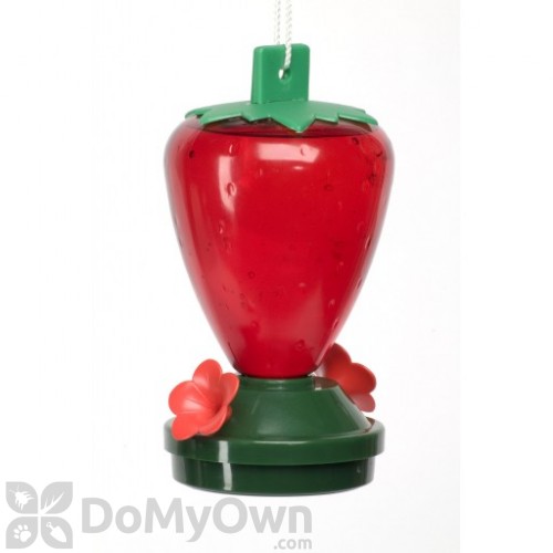 Artline Strawberry Hummingbird Feeder 5556