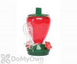 Artline Strawberry Window Hummingbird Feeder 12 oz. (5558)