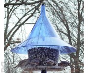 Arundale Sky Cafe Blue Bird Feeder (AR360B)