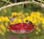 Aspects Little Fancy Rose Hummingbird Feeder (382)
