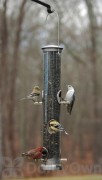 Aspects Seed Tube Brushed Nickel Quick Clean Base Bird Seed Feeder Large (393)