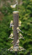 Aspects Thistle Tube Antique Brass Quick Clean Base Bird Seed Feeder Large (403)