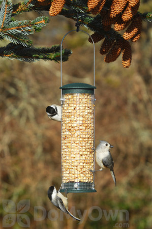 Aspects Peanut Silo Spruce Bird Feeder (416)