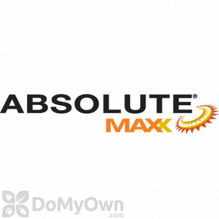 Bayer Absolute Maxx Fungicide