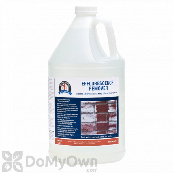 Stone Technologies Concentrated Cleaner #1 for Bricks & Masonry- 1 gal jug