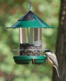 Becks Chickadee Feeder
