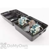 Alternate Image 1 Thumbnail