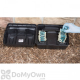 Alternate Image 2 Thumbnail