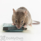 Alternate Image 3 Thumbnail