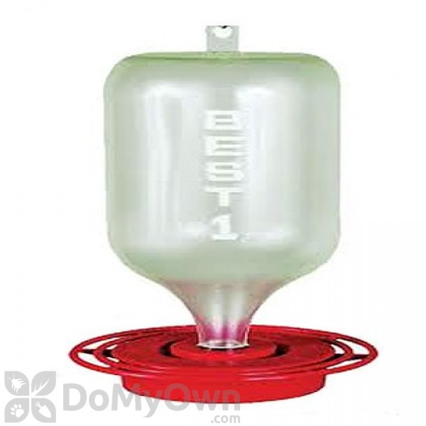 Best 1 Hummingbird Feeder 72 Oz Best72
