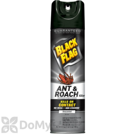 Black Flag Ant and Roach Killer Aerosol (Unscented)