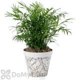 Alternate Image 2 Thumbnail