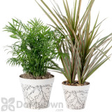 Alternate Image 3 Thumbnail