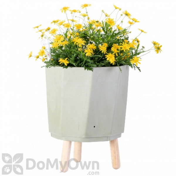 Bloem Eco Self-Watering Modern Planter Pot w/Wood Leg Stand Bloem Eco Self-Watering Modern Planter Pot w/Wood Leg Stand