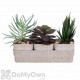 Bloem Eco Succulent Flower Pot Planter with Saucer  4 - Pack 