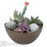 Alternate Image 3 Thumbnail