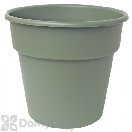 Bloem Dura Cotta Planter 6 in. Living Green