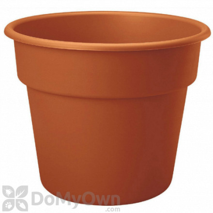 Bloem Dura Cotta Planter 6 in. Terra Cotta