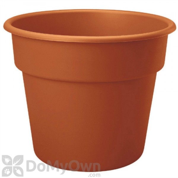 Bloem Dura Cotta Planter 8 in. Terra Cotta