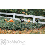 Alternate Image 3 Thumbnail