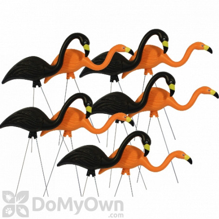 Bloem Spooky Flamingo 25 in. Halloween Black Orange Yard Decor (10 - Pack)