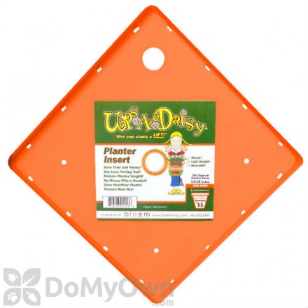 Bloem Ups-A-Daisy Square Planter Insert 15" (TS6325)