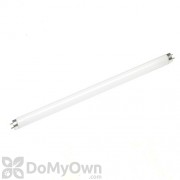 Brandenburg T8 Standard Bulb 25 W 18 in.