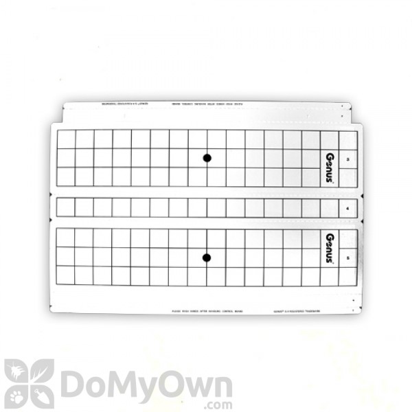 Brandenburg Universal Glue Boards 5 in. x 22 in.