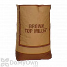 Brown Top Millet