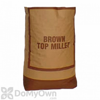 image of Brown Top Millet