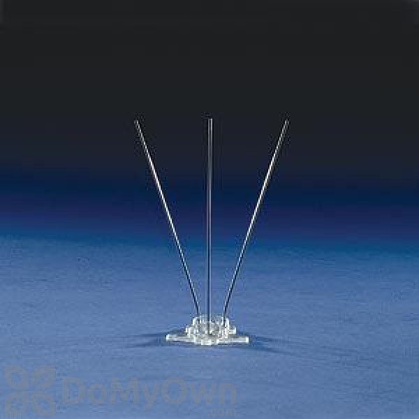 Bird - Flite Narrow Spikes Kit With Bond 