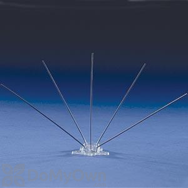 Bird Barrier Bird - Flite Xtra - Wide Spikes Kit With Bond (8 in. wide x 1 ft. long) 25 Ft.