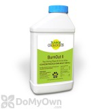 BurnOut Weed & Grass Killer Concentrate