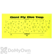 Catchmaster Giant Fly Glue Trap with Attractant (948)