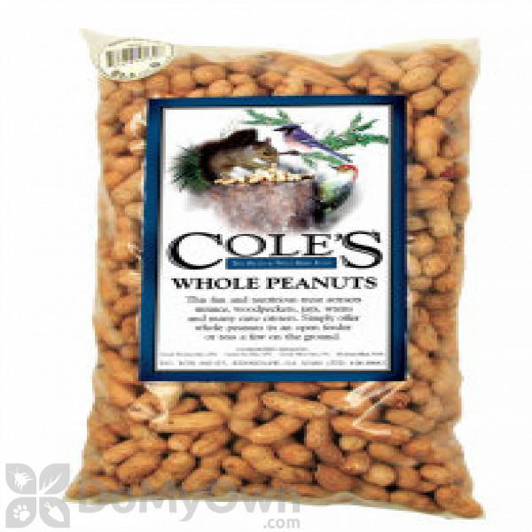coles bird products