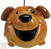 Coynes Company Dog Bird House (D2570)