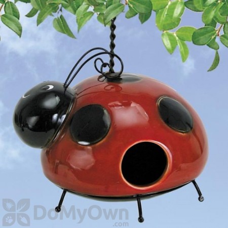 Coynes Company Ladybug Bird House (D2574)