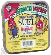 C&S Products Seed Treat Suet 50501 - SINGLE