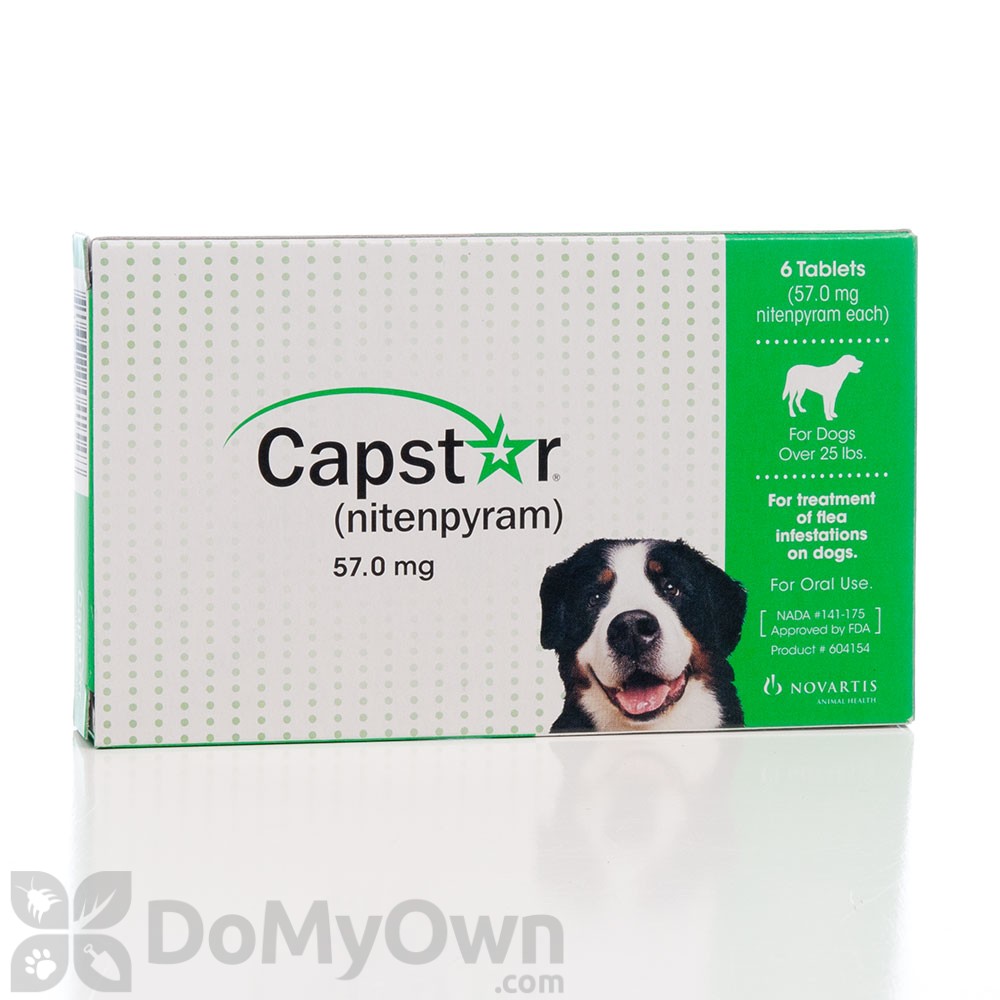 capstar for cats and dogs