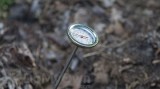 Compost Wizard Thermometer